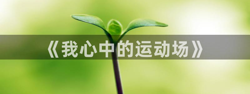 oety欧亿体育官网下载平台APP：《我心中的运动场