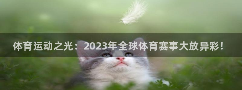 德国欧亿体育官方正版app集团：体育运动之光：202