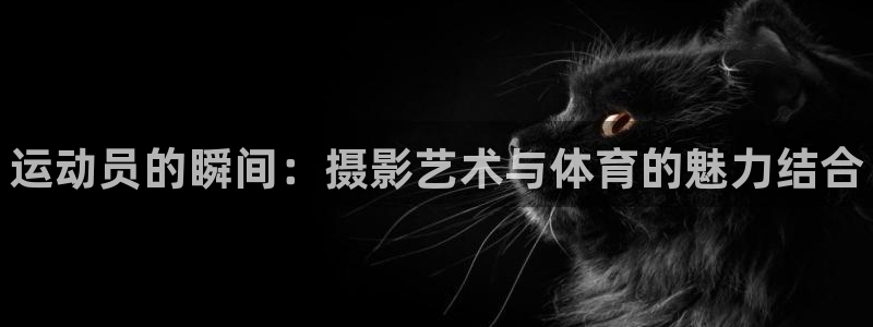oety欧亿体育官网下载招商电话地址是多少