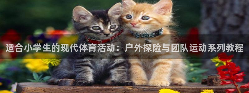 欧亿体育官方正版app娱乐平台