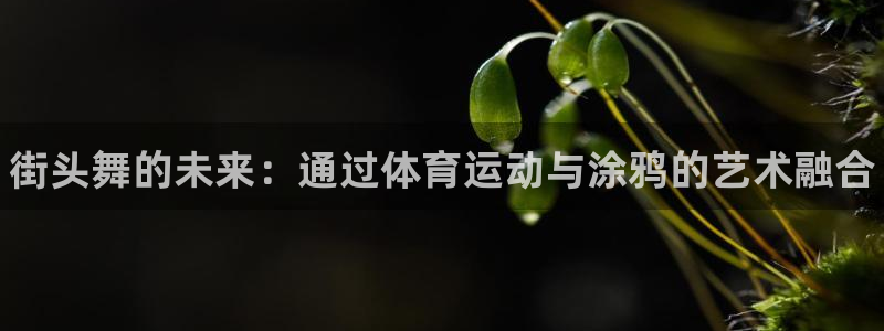 欧亿体育官方正版app集团logo：街头舞的未来：通过体育运