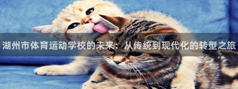 oety欧亿体育官网下载招商电话是多少：湖州市体育运动学校的
