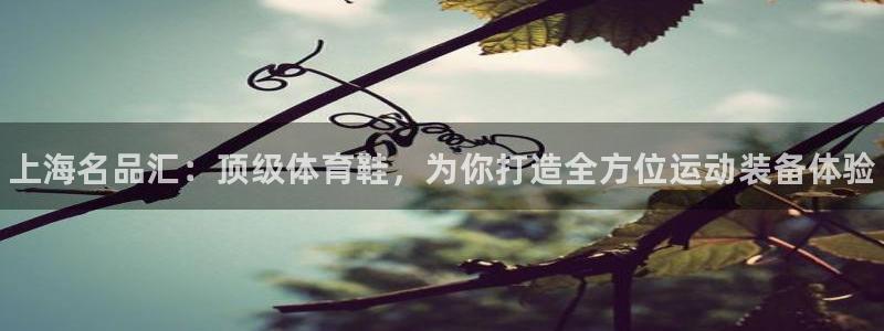 欧亿体育官方正版app娱乐：上海名品汇：顶级体育鞋，为你打造