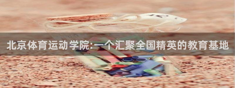 oety欧亿体育官网下载软件：北京体育运动学院:一个