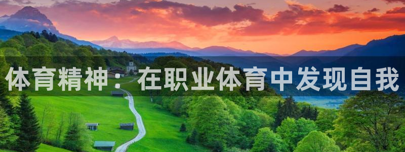 欧亿体育官方正版app娱乐网站：体育精神：在职业体育