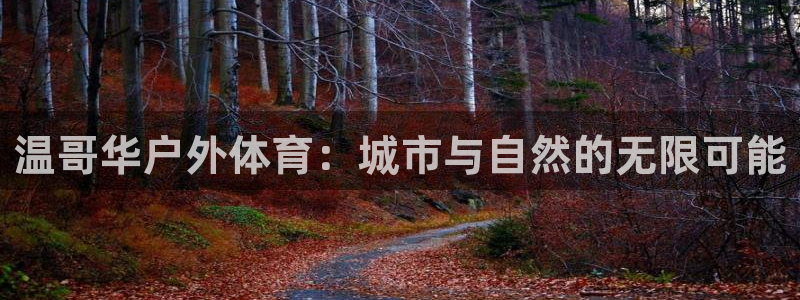 欧亿体育官方正版app开户：温哥华户外体育：城市与自
