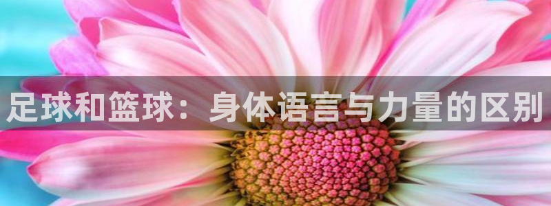 oety欧亿体育官网下载招商：足球和篮球：身体语言与