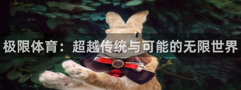 欧亿体育官方正版app娱乐代理怎么样：极限体育：超越