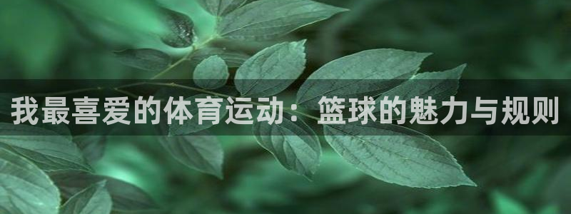 oety欧亿体育官网下载平台APP：我最喜爱的体育运