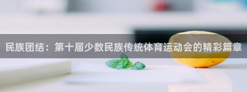 oety欧亿体育官网下载注册：民族团结：第十届少数民