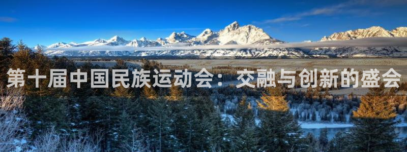 oety欧亿体育官网下载平台是正规平台吗安全吗：第十届中国民